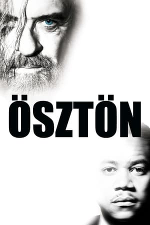 Poster Ösztön 1999