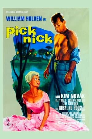 Poster Picknick 1955