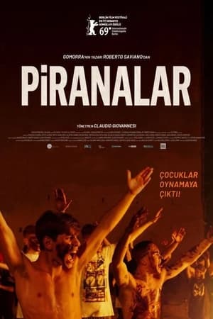 Poster Piranalar 2019