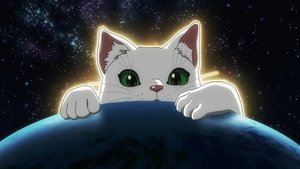 Nyaight of the Living Cat: 1×5
