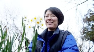 Sayaka Mori: Seaweed Maki Roll