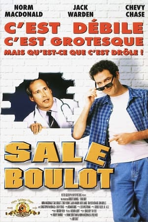 Sale Boulot 1998