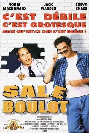 Poster Sale Boulot 1998