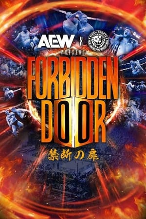 Image AEW x NJPW Present Forbidden Door