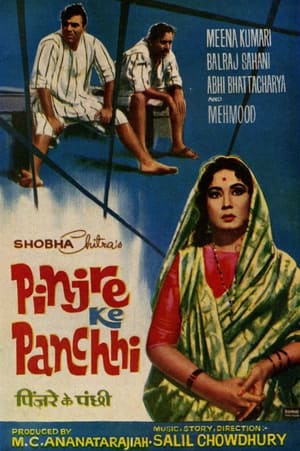 Poster Pinjre Ke Panchhi (1966)