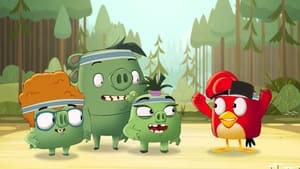 Angry Birds: Summer Madness Splinter-Camp Games