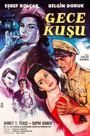 Poster Gece Kuşu (1960)