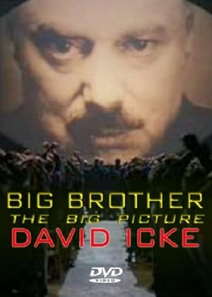 Big Brother: The Big Picture poster