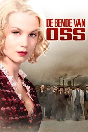 Poster De bende van Oss 2011