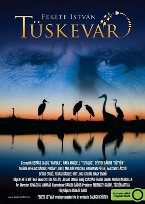 Poster di Tüskevár