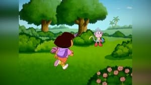 Dora: 4×5