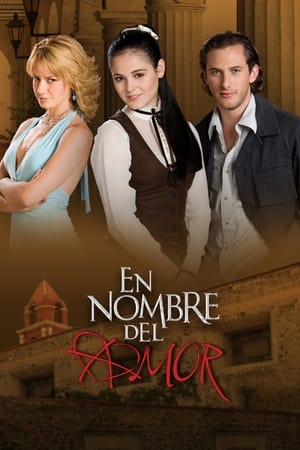 Poster En nombre del amor 2008