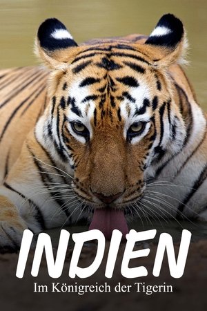 Image Maya, la tigresse du Maharashtra