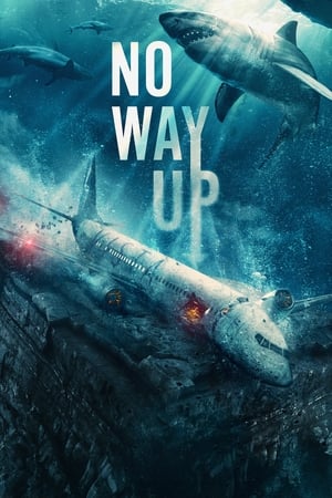 Poster No Way Up 2024