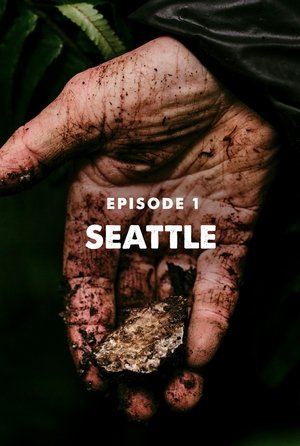 DIRT | Adventure Local