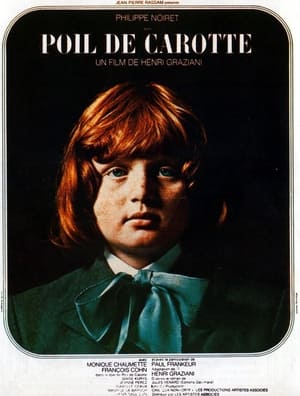 Poil de carotte poster