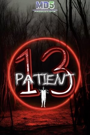 Image PATIENT 13