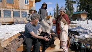 Dog Cabin