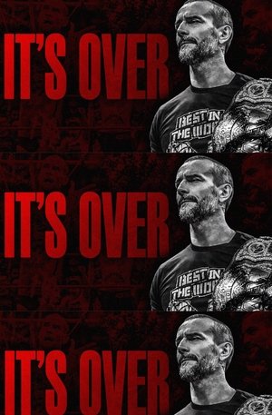 Image CM Punk in AEW: The End