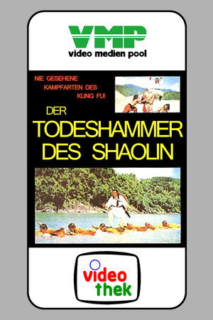 Adventure of Shaolin 8
