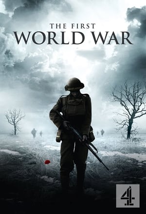 The First World War 1914-1918 (2008)