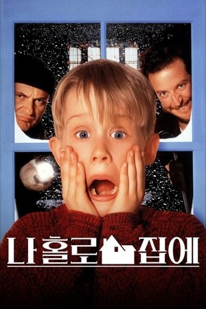 Image 나 홀로 집에