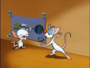 Pinky & der Brain: 2×1