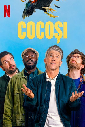 Cocoși