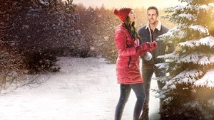 The Christmas Promise [2021] – Cały film online