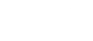 回到1995爱上你 — Logos 2