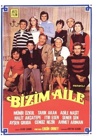 Bizim Aile poster