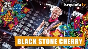 Black Stone Cherry - Pol'and'Rock Festival 2019