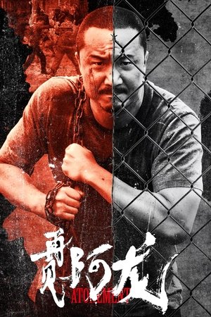 再见阿龙 (2025)