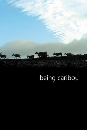 Poster Being Caribou 2005
