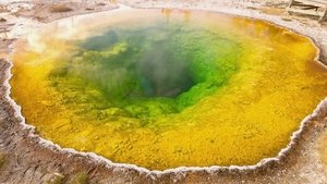 Ancient Yellowstone