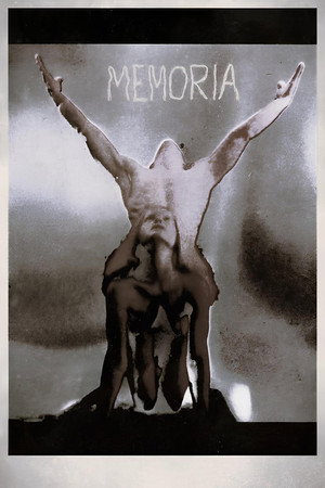 Memoria 19