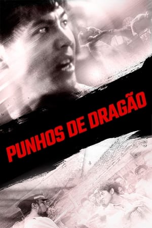 Assistir Punhos de Dragão Online Grátis