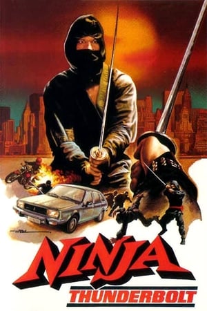 Poster Νίνζα - Επιχείρηση: "Θάντερμπωλ" 1984
