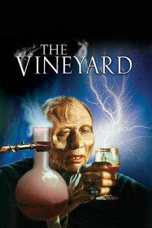 The Vineyard 28
