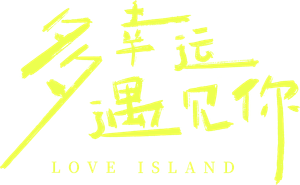 Love Island — Logos 1