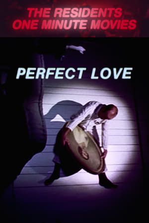 Perfect Love poster