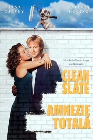 Poster Clean Slate 1994