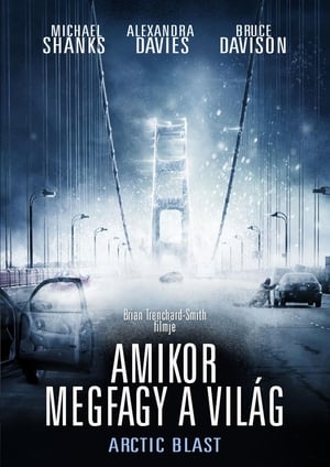 Amikor megfagy  a világ (2010)