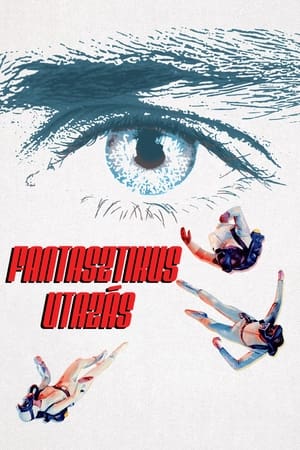 Poster Fantasztikus utazás 1966