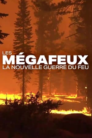 Image Les mégafeux, la nouvelle guerre du feu