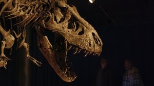 Dinosaures, la chasse aux fossiles