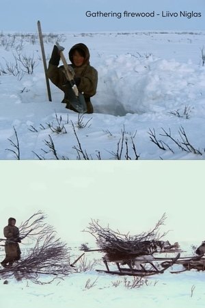 Gathering Firewood