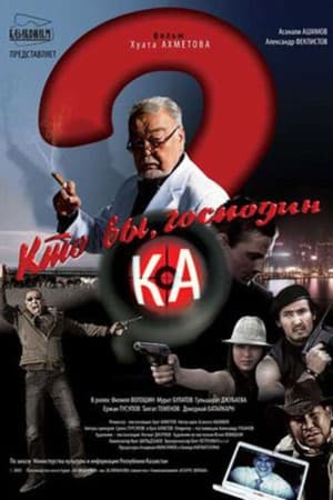 Poster Who Are You Mr. K? (2009)
