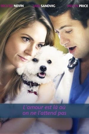 Poster L'amour est là où on ne l'attend pas 2017