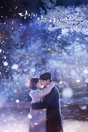 Poster While you were Sleeping Stagione 1 Episodio 23 2017